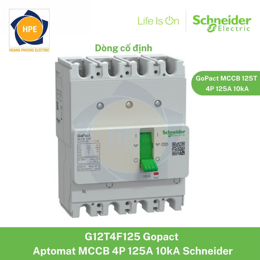 G12T4F125 Schneider