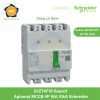 G12T4F16 Schneider