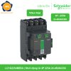 LC1G2254BEEA Schneider - Khởi động từ 4P 225A 24-48VAC/DC