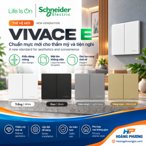 Vivace E Schneider
