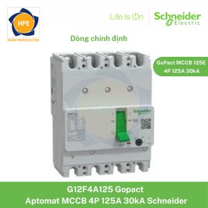 G12F4A125 Schneider