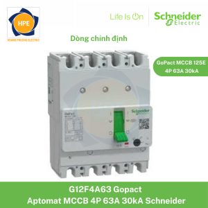 G12F4A63 Schneider
