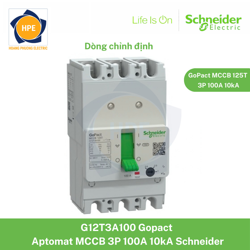 G12T3A100 Schneider