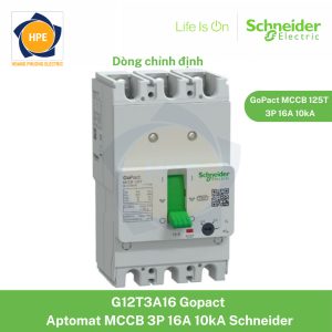 G12T3A16 Schneider