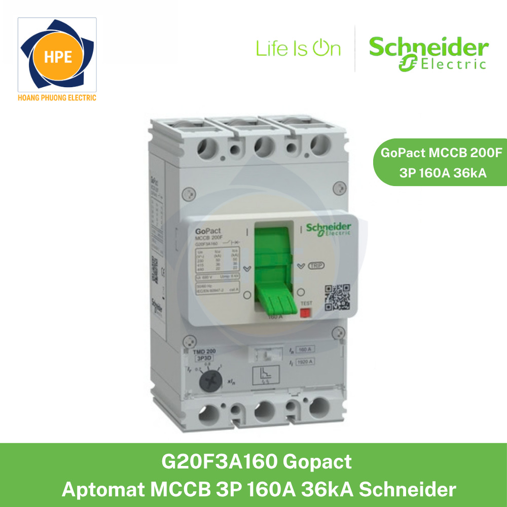 G20F3A160 Schneider