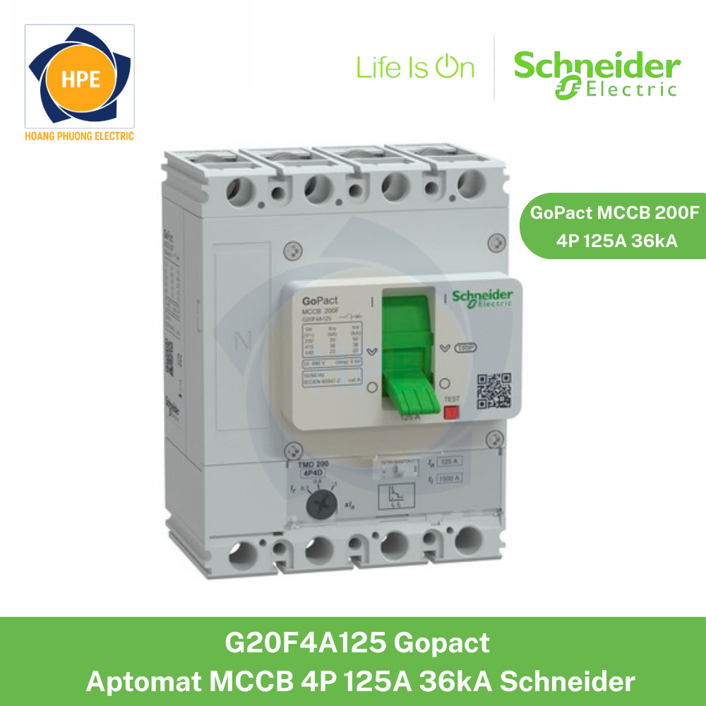 G20F4A125 Schneider