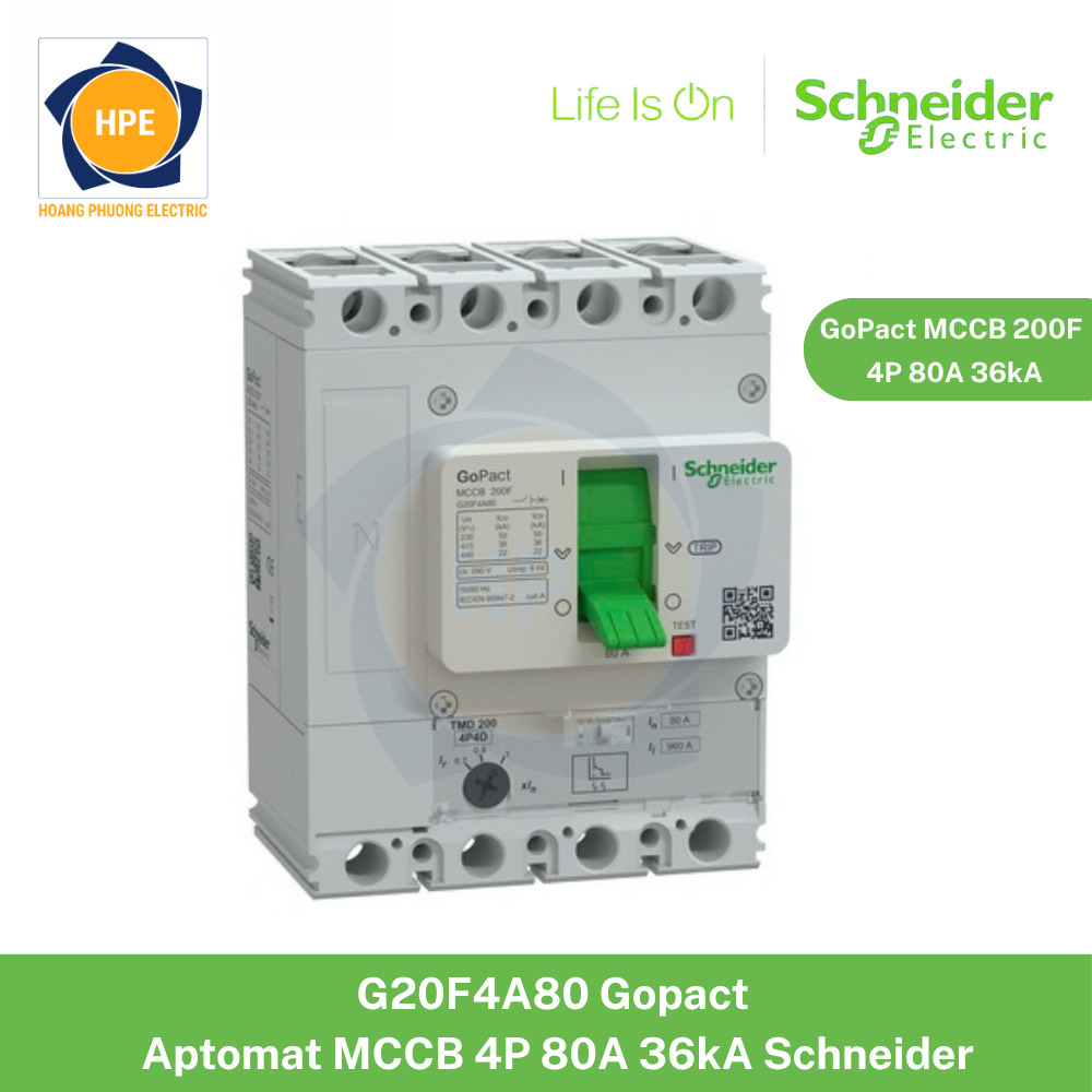 G20F4A80 Schneider