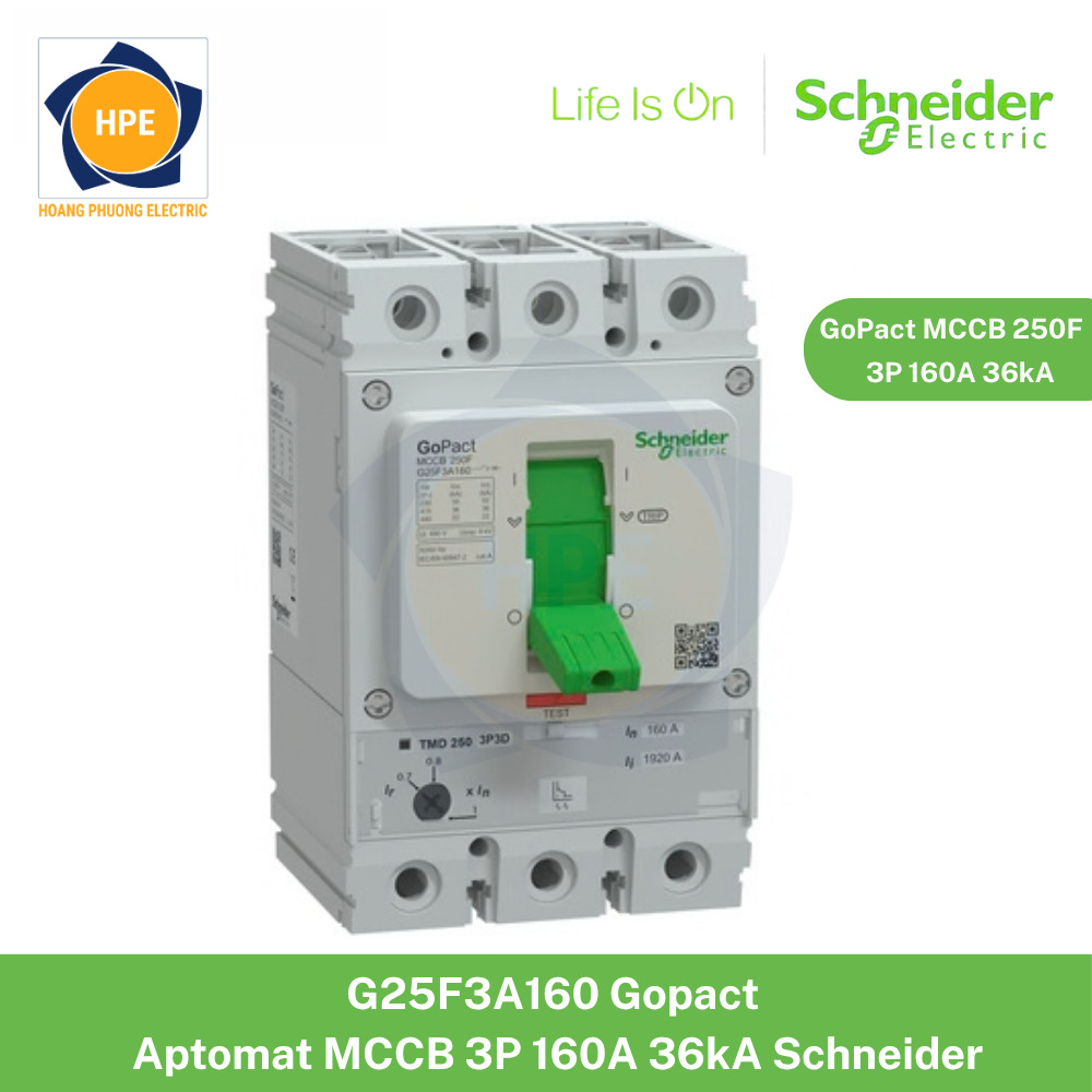 G25F3A160 Schneider