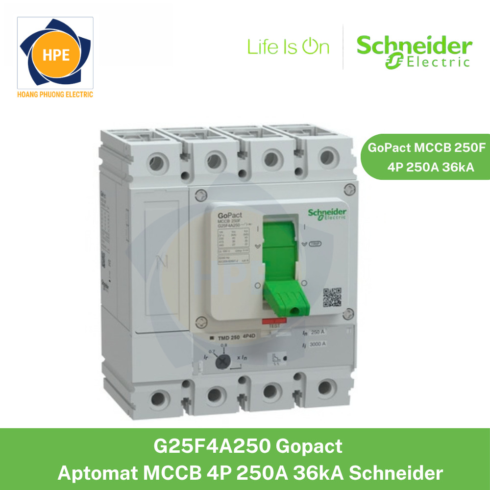 G25F4A250 Schneider