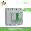 G80N4TM800 Schneider